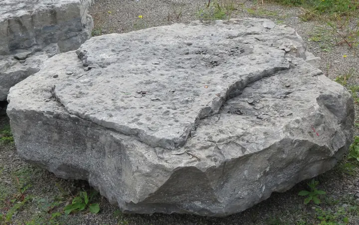A wide flat grey limestone boulder