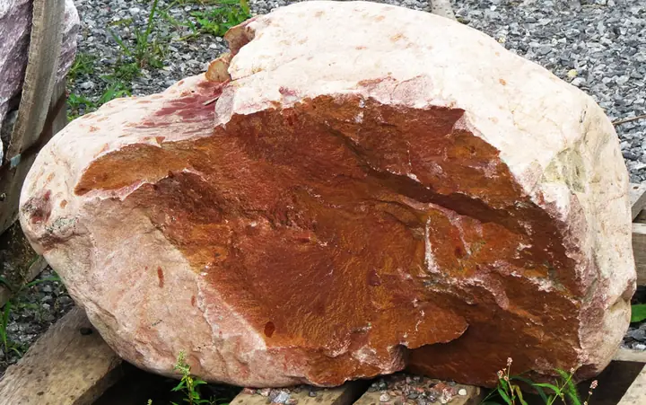 A pink boulder with a rust colored face