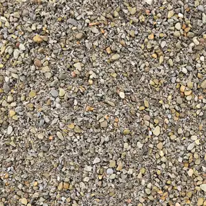 Close-up of Japanese Pathway Mix