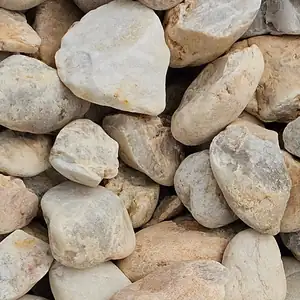 Close-up of New Jersey Cream Tailings