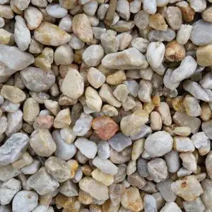 Close-up of New Jersey Cream
