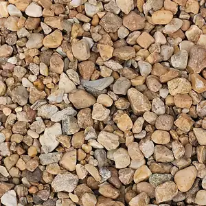 Close-up of Southern Gold